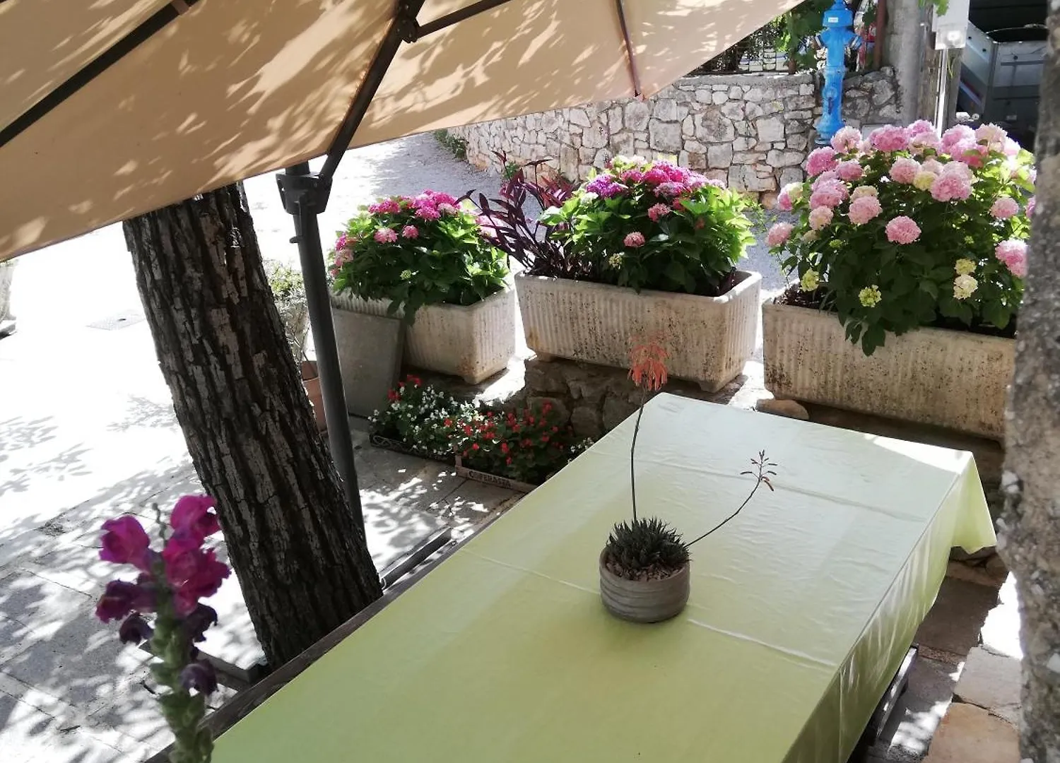 Apartments Renata - Brseč