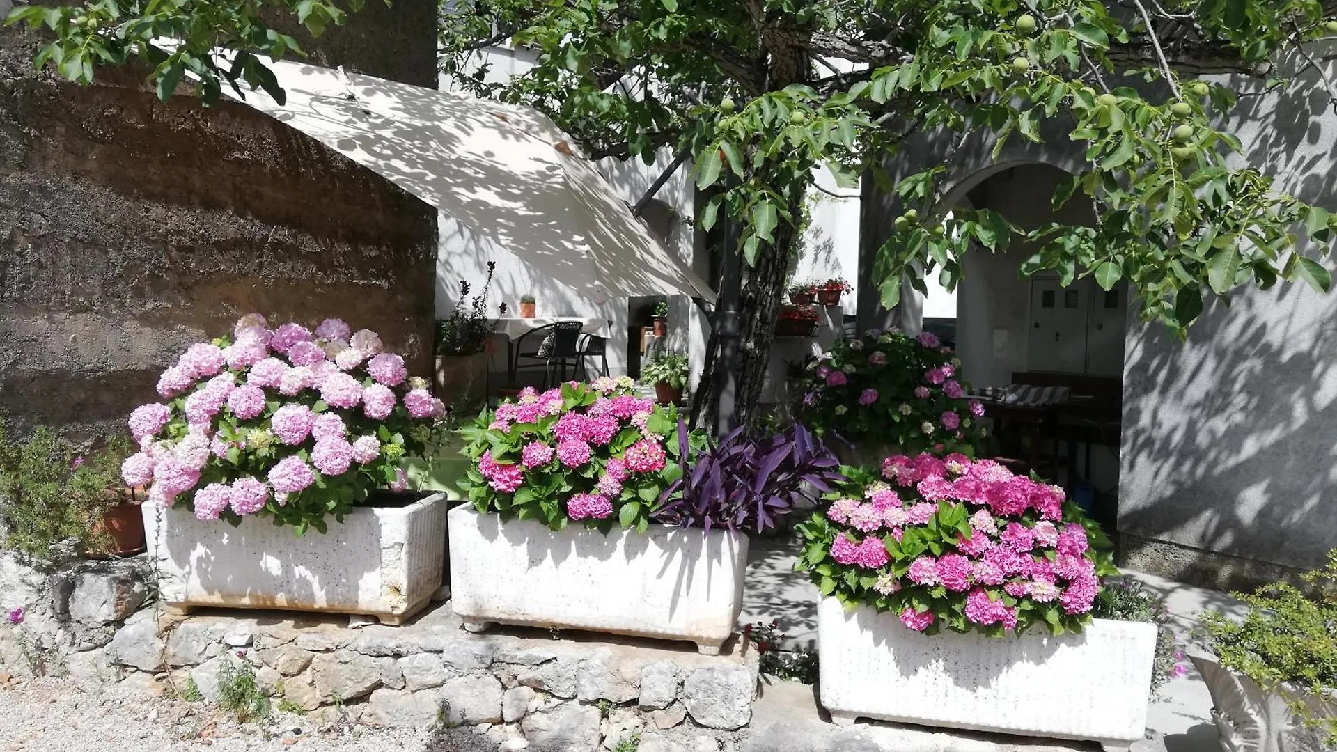 Apartments Renata - Brseč Croazia